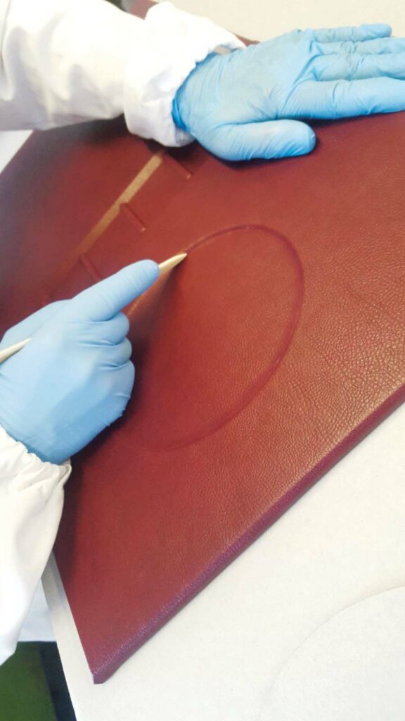 1475-2025: Cinquecentocinquanta anni dalla nascita di Michelangelo, Il Gigante [Edizioni Supertop] 5